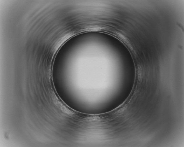 X0000102821186200808251103