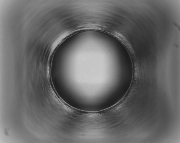X0000102821188200808251103