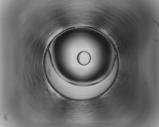 X0000102821189200808251103