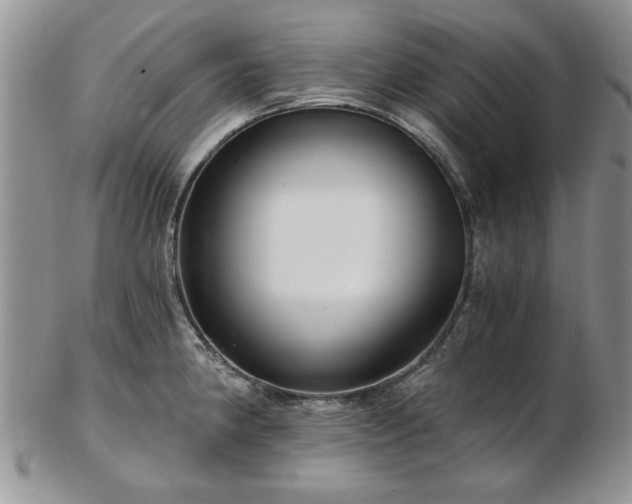 X0000102821190200808251103