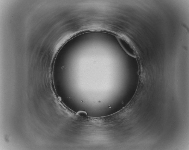 X0000102821191200808251103