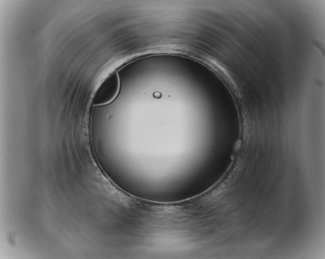 X0000102821192200808251103