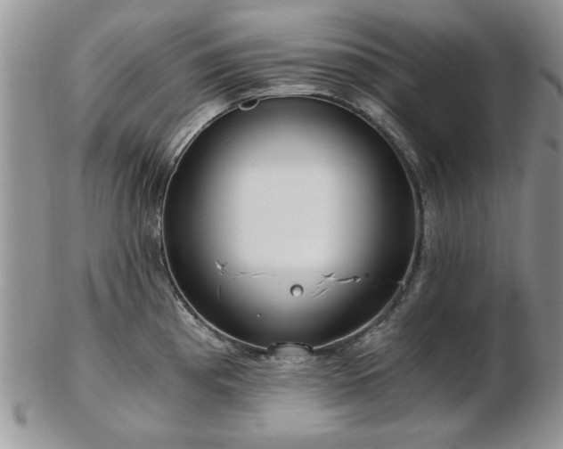 X0000102821193200808251103