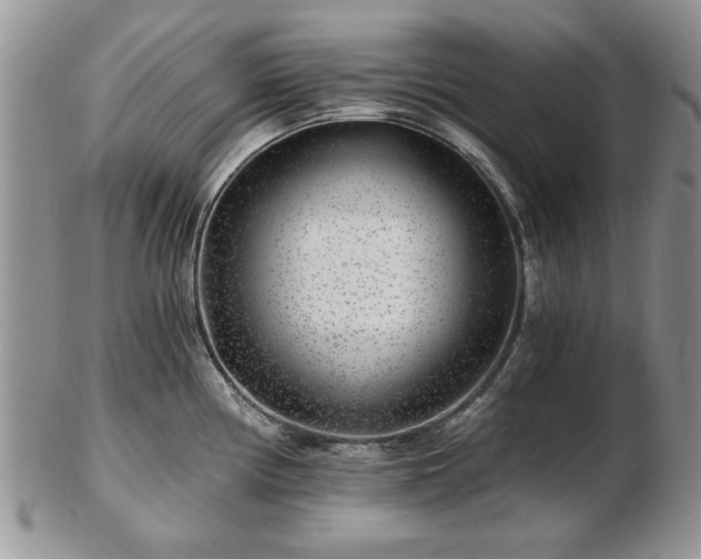 X0000102821194200808251103