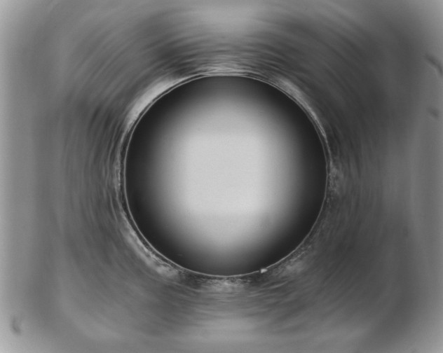 X0000102821195200808251103