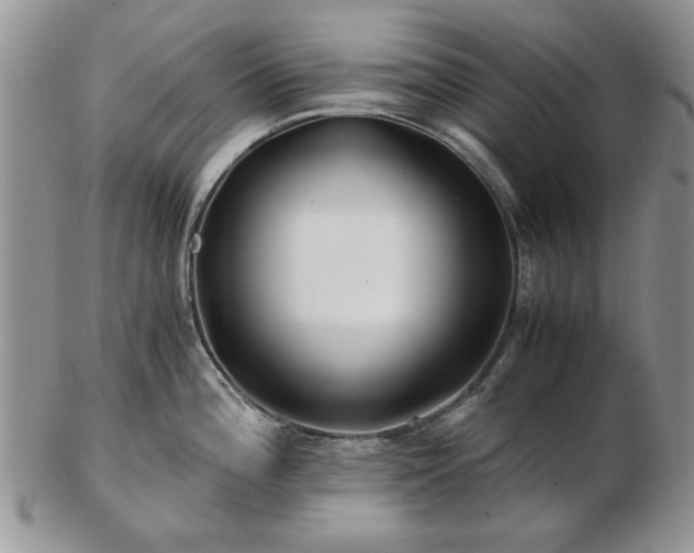 X0000102821196200808251103