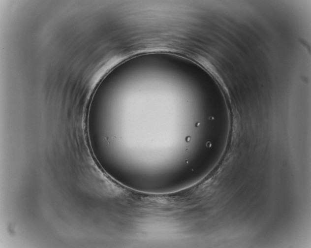 X0000102821197200808251103