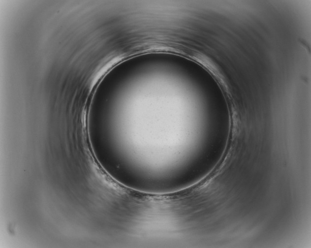 X0000102821198200808251103