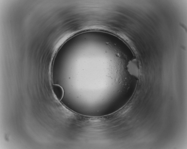 X0000102821199200808251103