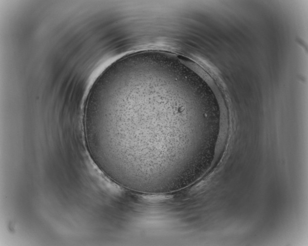 X0000102821200200808251103
