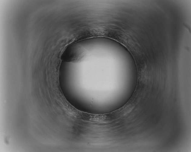 X0000102821201200808251102