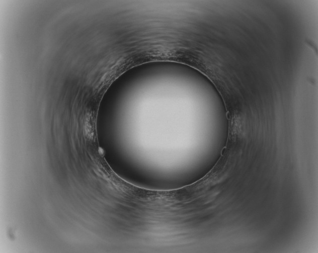 X0000102821202200808251103