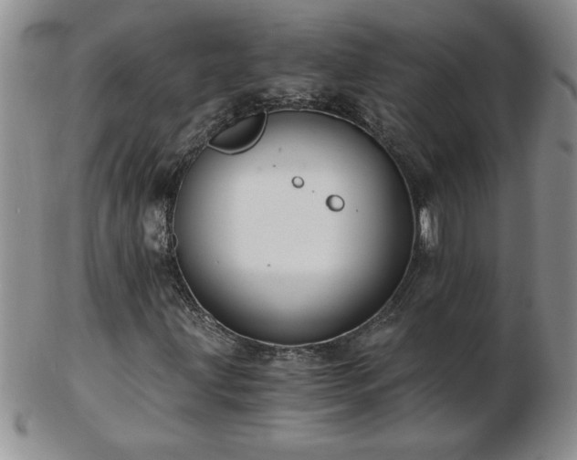 X0000102821203200808251103