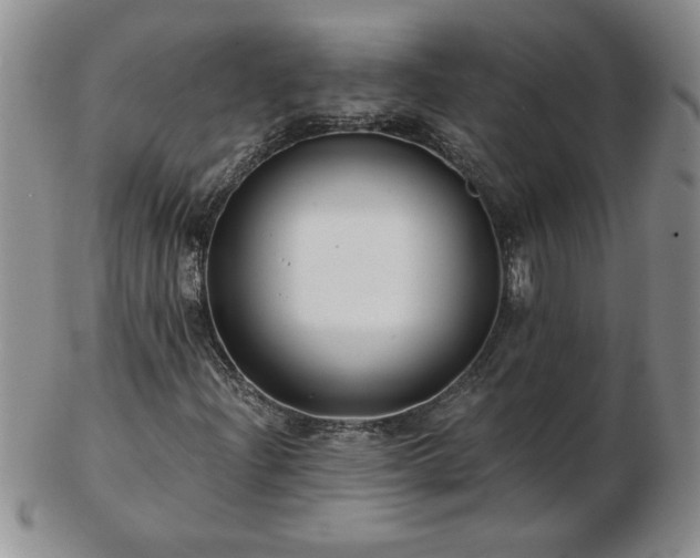 X0000102821204200808251103