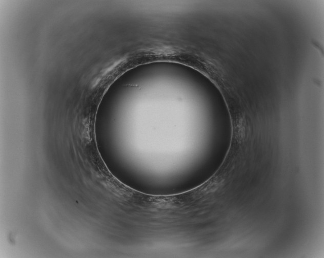 X0000102821205200808251103