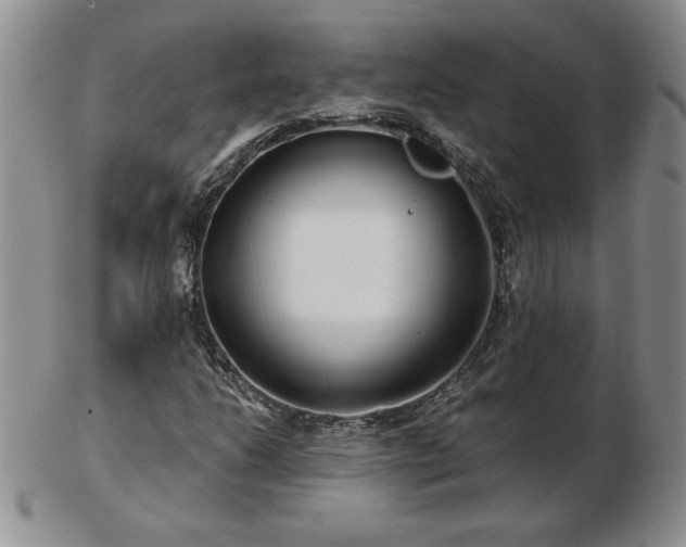 X0000102821206200808251103