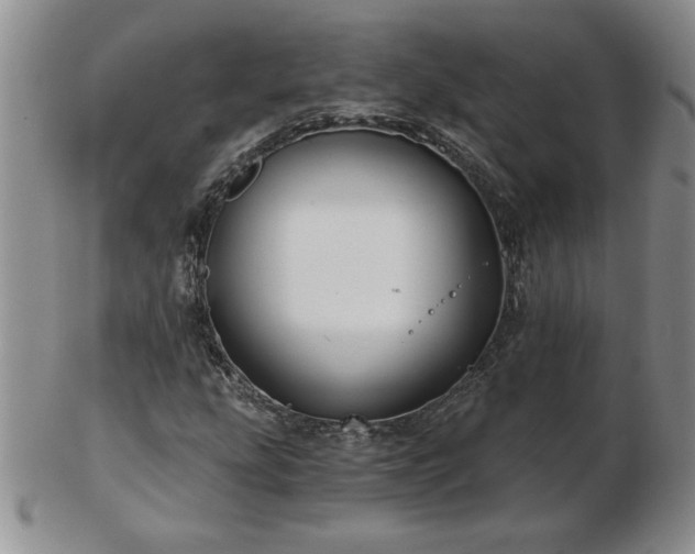 X0000102821207200808251103