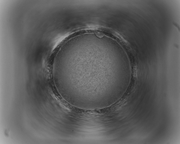X0000102821208200808251103