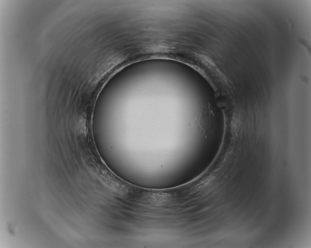 X0000102821209200808251103