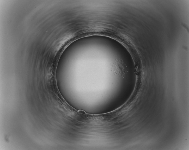 X0000102821210200808251103