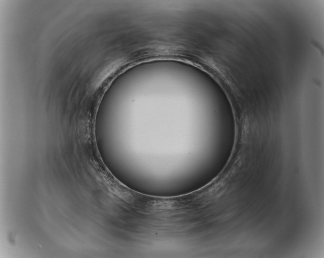 X0000102821211200808251103