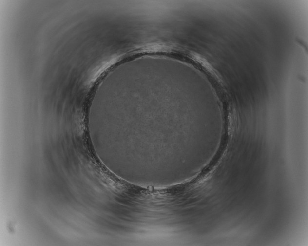 X0000102821213200808251103