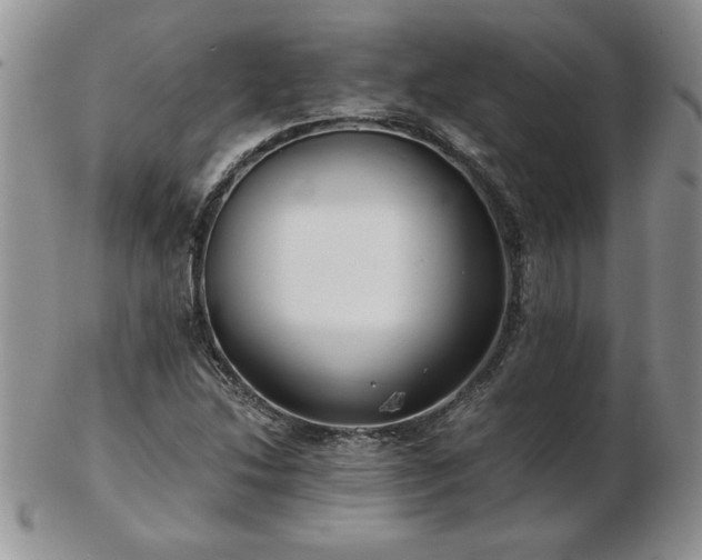 X0000102821214200808251103