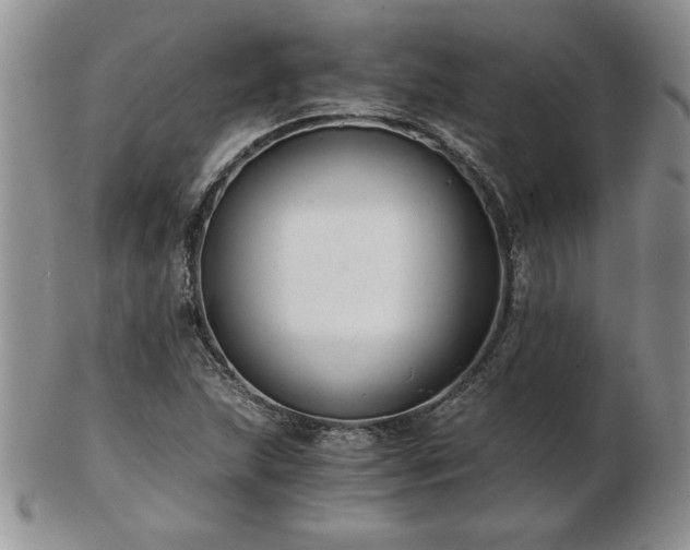 X0000102821215200808251103