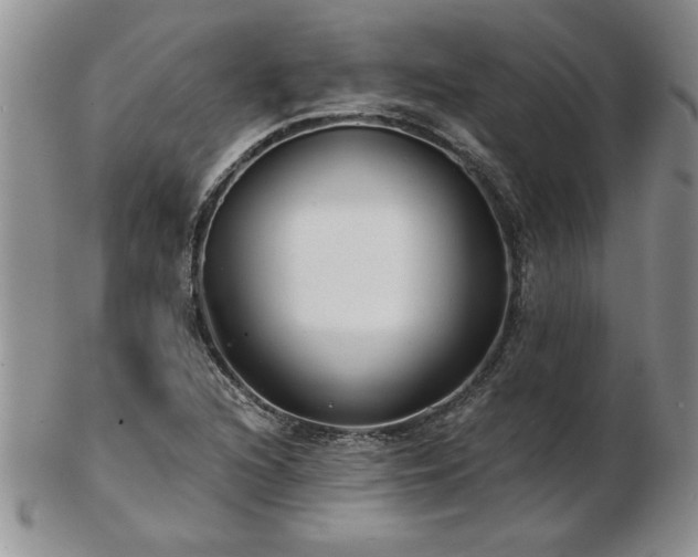 X0000102821216200808251103
