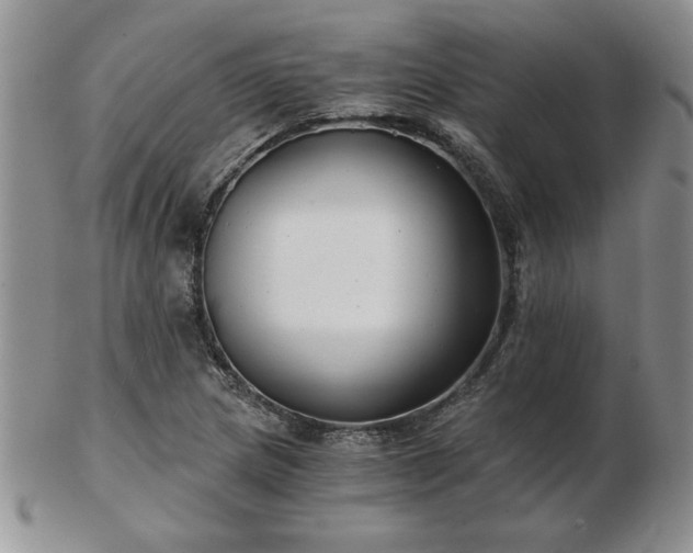 X0000102821217200808251103