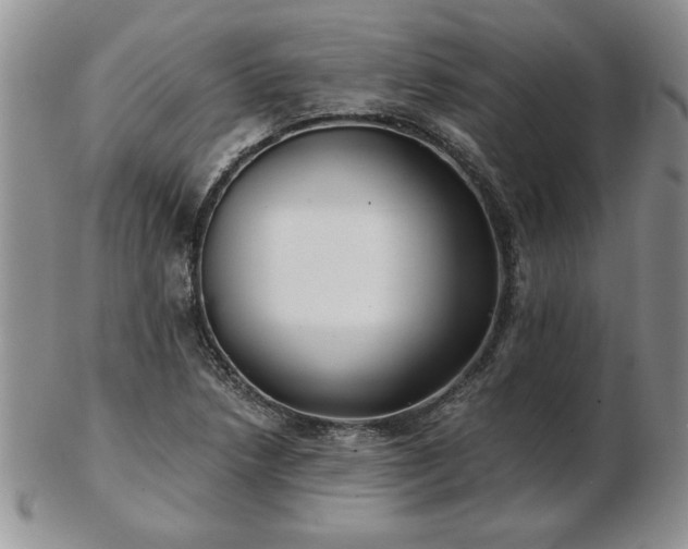 X0000102821218200808251103