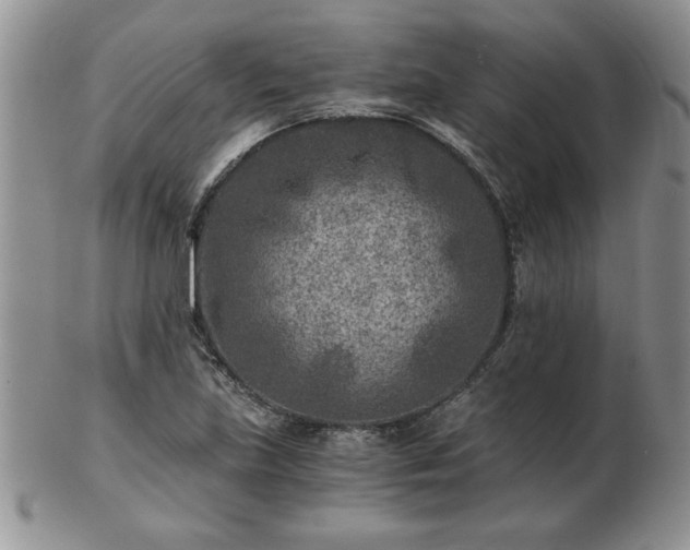 X0000102821219200808251103
