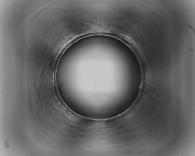 X0000102821220200808251103