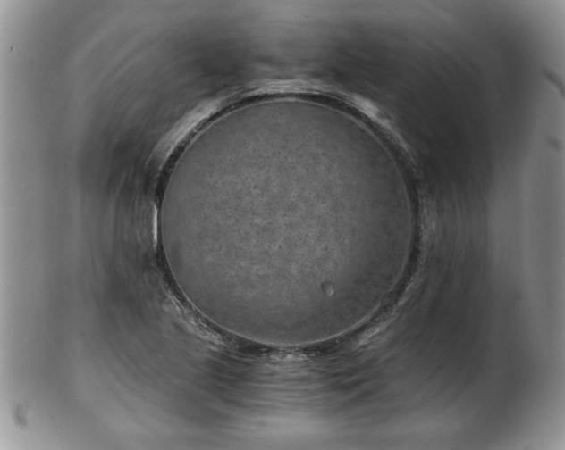 X0000102821221200808251103