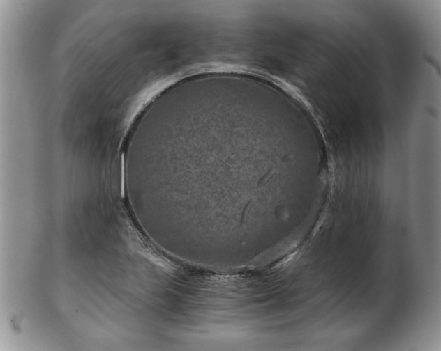 X0000102821223200808251103