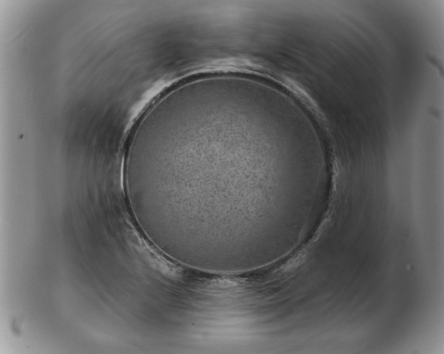 X0000102821224200808251103