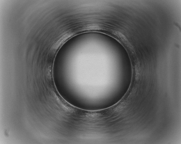 X0000102821225200808251103