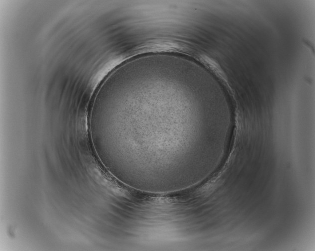 X0000102821226200808251103