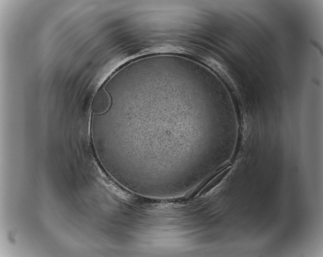 X0000102821228200808251103