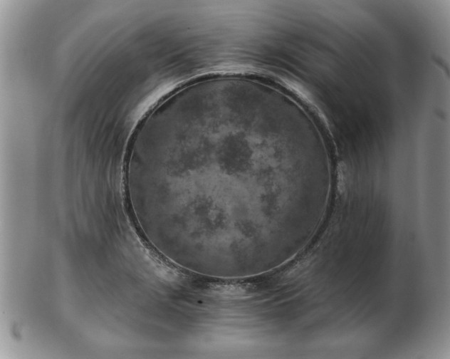 X0000102821229200808251103