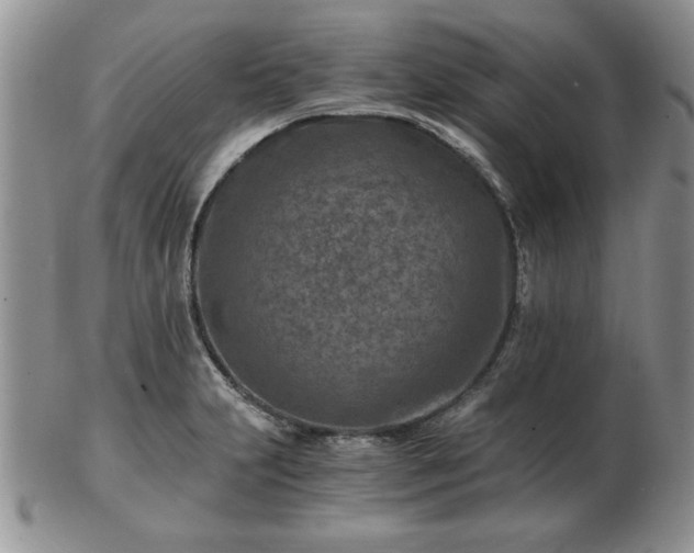 X0000102821231200808251103