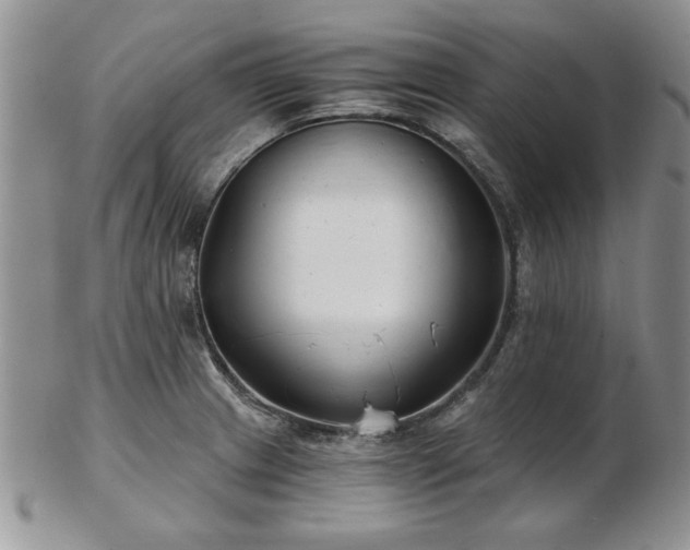 X0000102821233200808251103