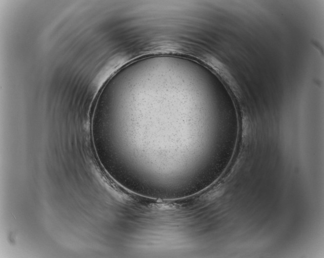 X0000102821234200808251103