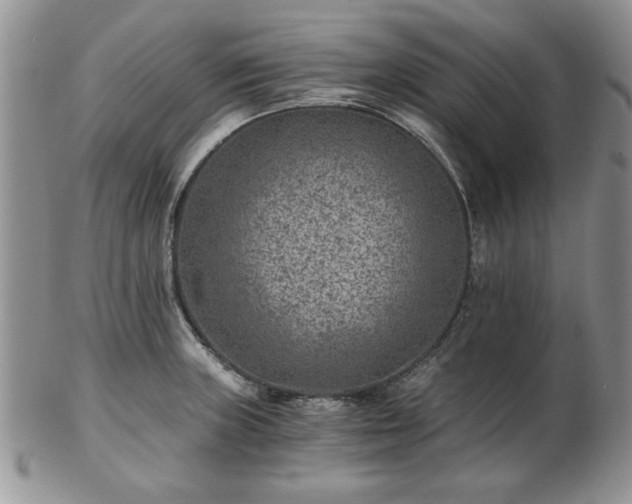 X0000102821235200808251103