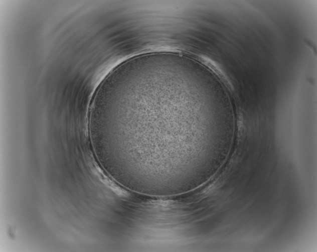 X0000102821236200808251103