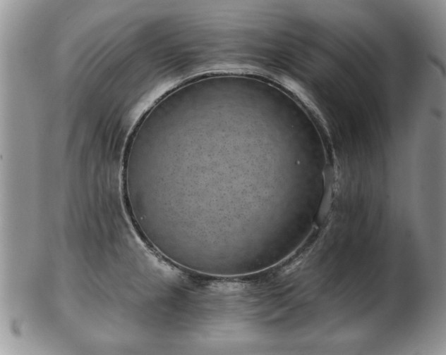 X0000102821237200808251103