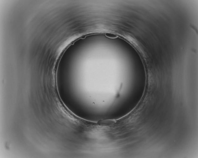 X0000102821238200808251103