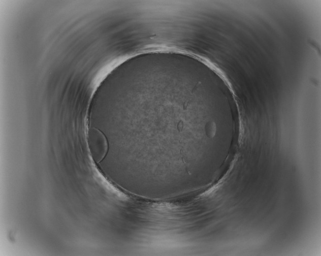X0000102821239200808251103