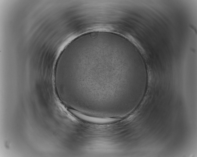 X0000102821240200808251103