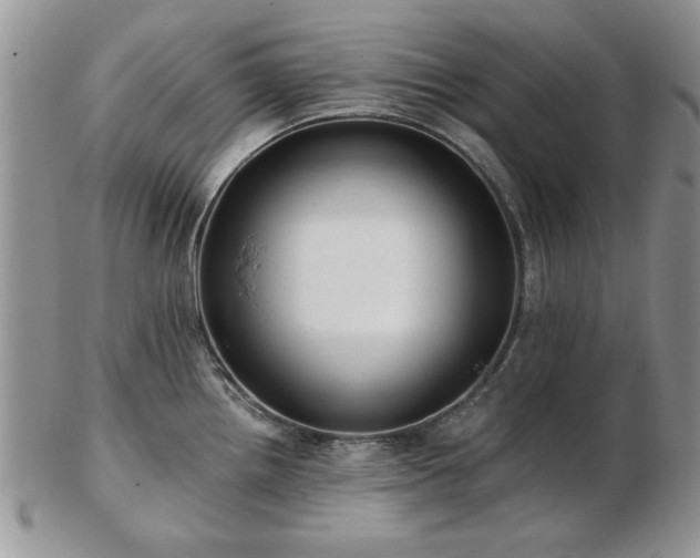 X0000102821242200808251103